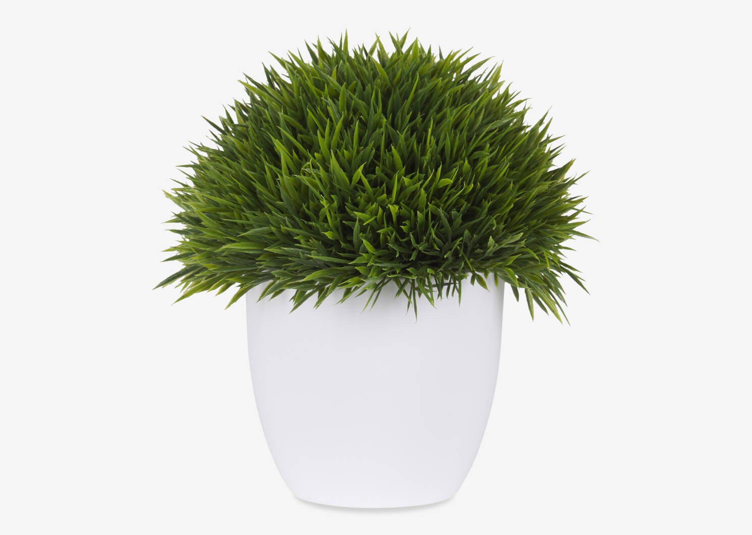 Herbes en pot Sena