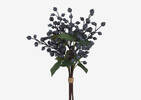 Adaline Blueberry Bunch