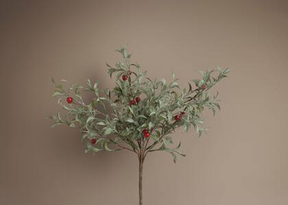 Winterberry Branch