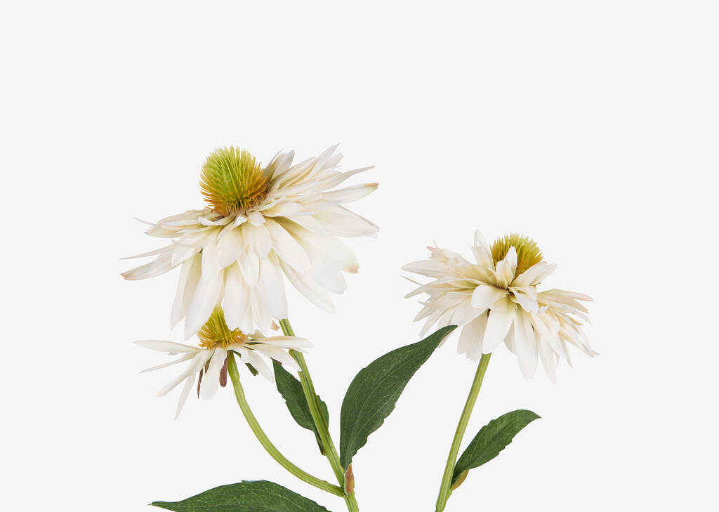 Vase Daleyza et tiges d’échinacée Cate