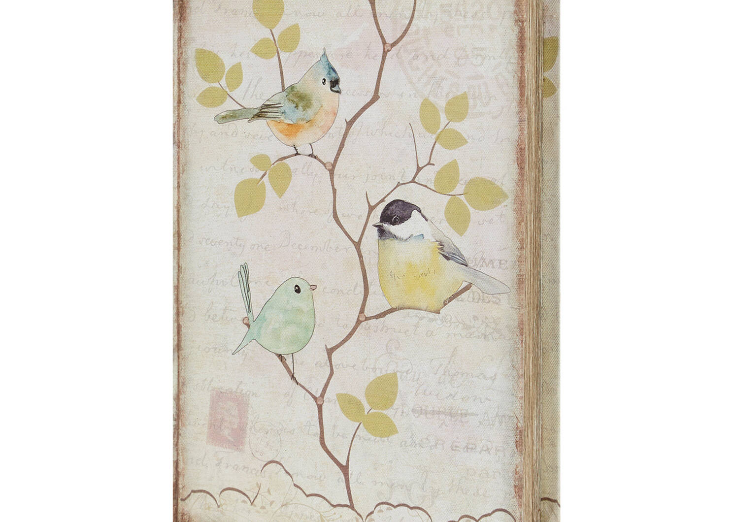 Birds Book Box Medium