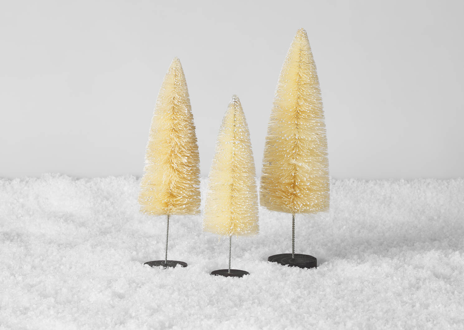 Coy Bristle Tree Large