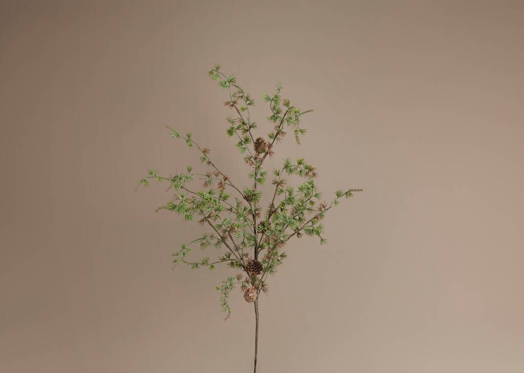 Sapling Pine Spray Branch
