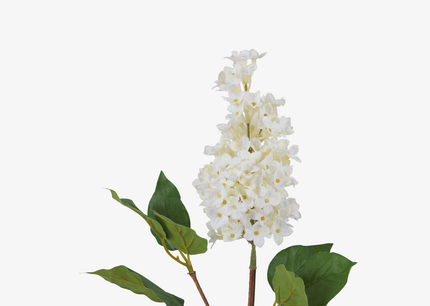 Lotte Dutch Lilac Stem Ivory