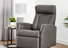 Benson Motion Recliner - Tre Graphite