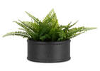 Morro Planters