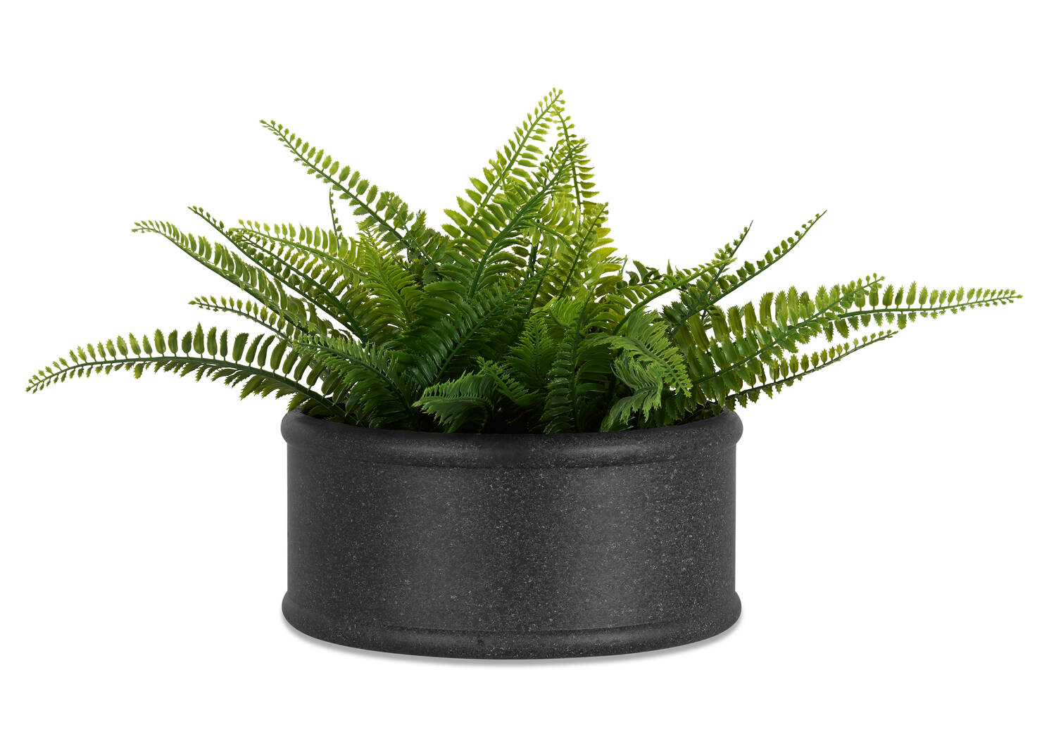 Morro Planters