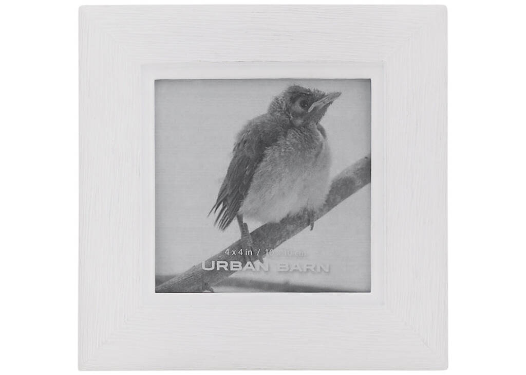 Judd Frame 4x4 White