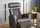 Fauteuil inc. cuir Belvedere -Tre grap.