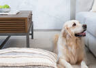 Pena Floor Cushion Natural/Grey