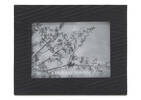 Aurelia Frames -Black