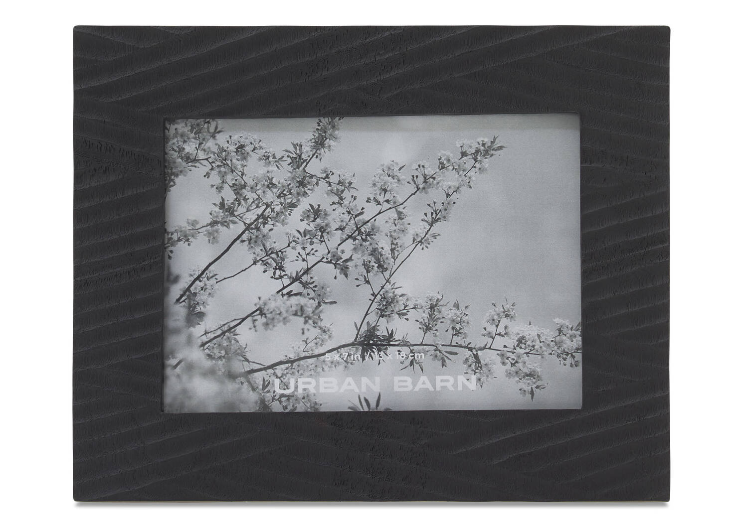 Aurelia Frames -Black