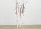 Illume Birch Branches 3ft