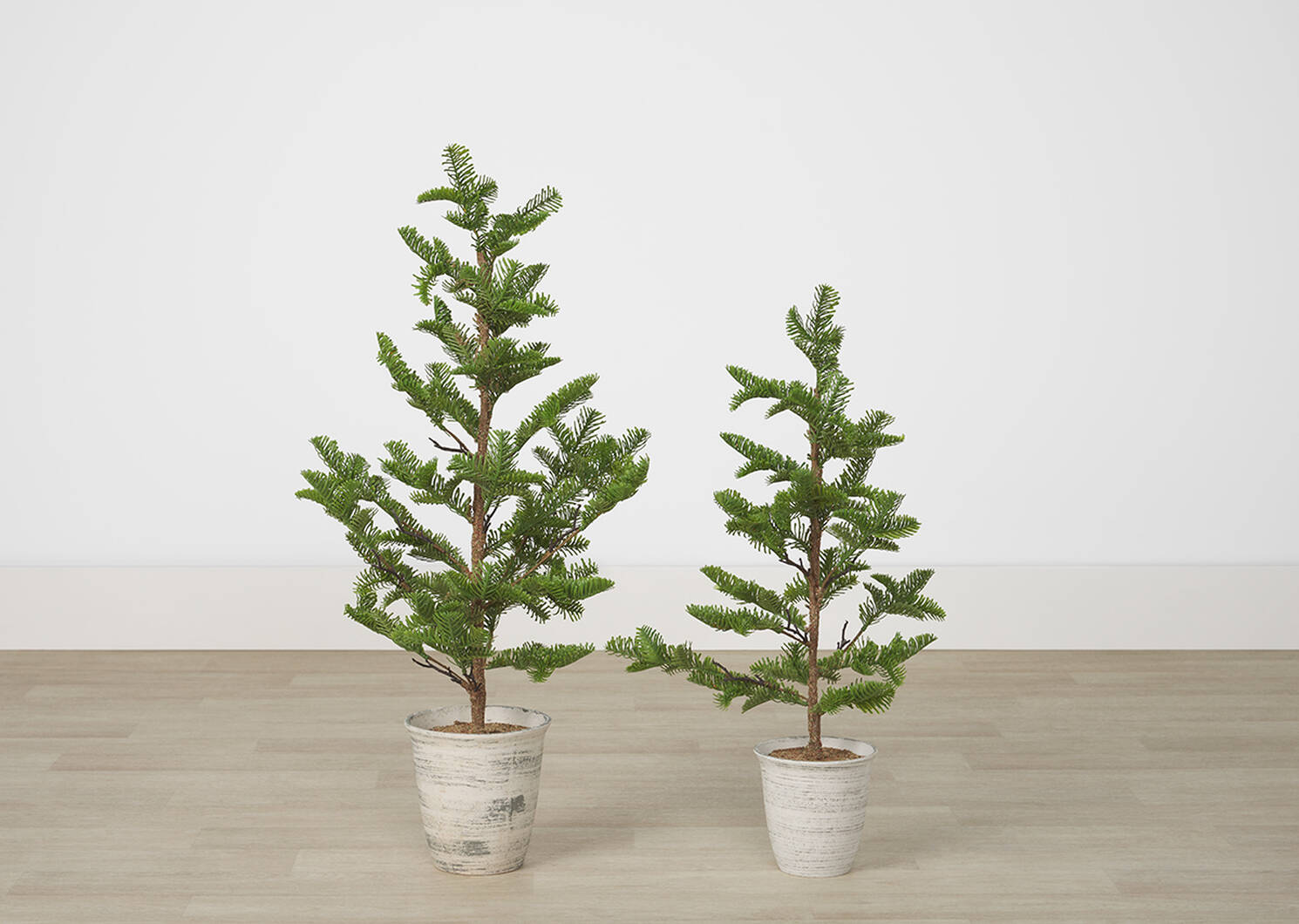 Evergreen Tree Potted Small Urban Barn
