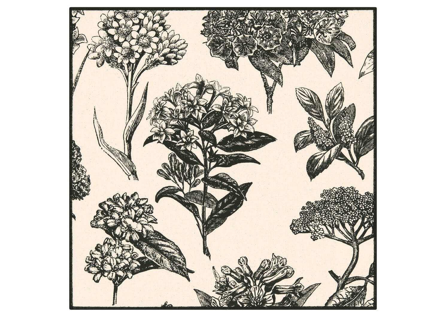 Hydrangea Napkin Set of 6 Natural/Black
