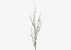 Jessa Pussy Willow Branch White