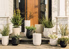 Misa Outdoor Planters