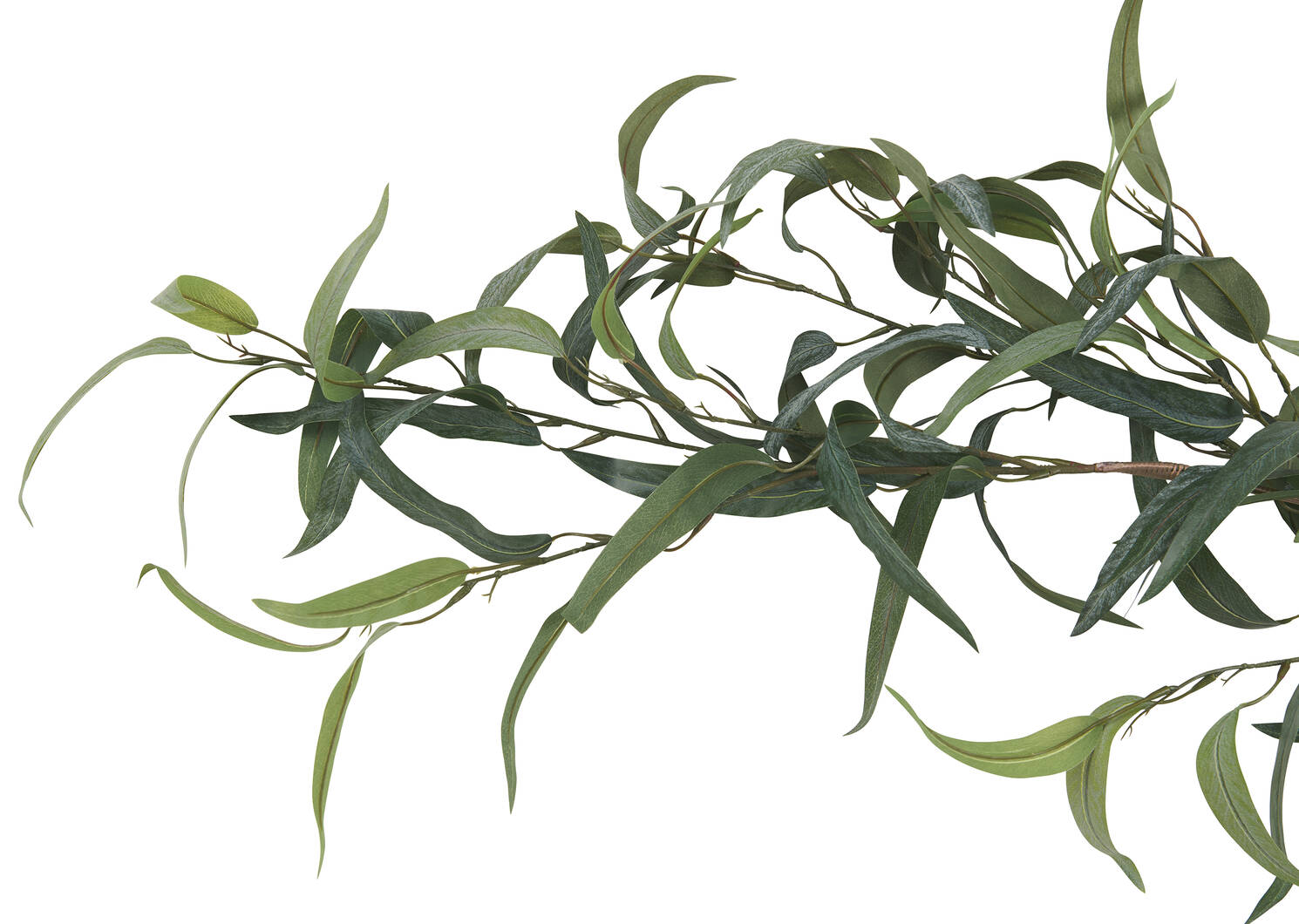 Kaiden Eucalyptus Garland