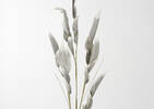 Zima Petals Branch Nile Grey
