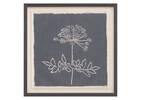 Woodland Angelica Framed Print