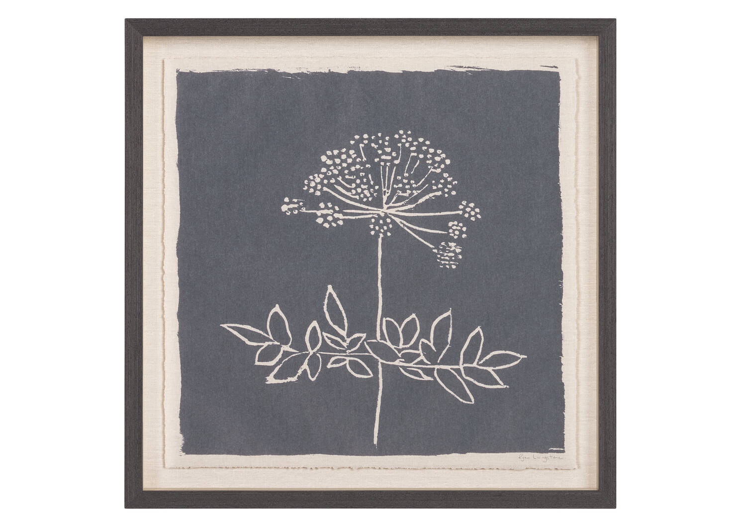 Woodland Angelica Framed Print