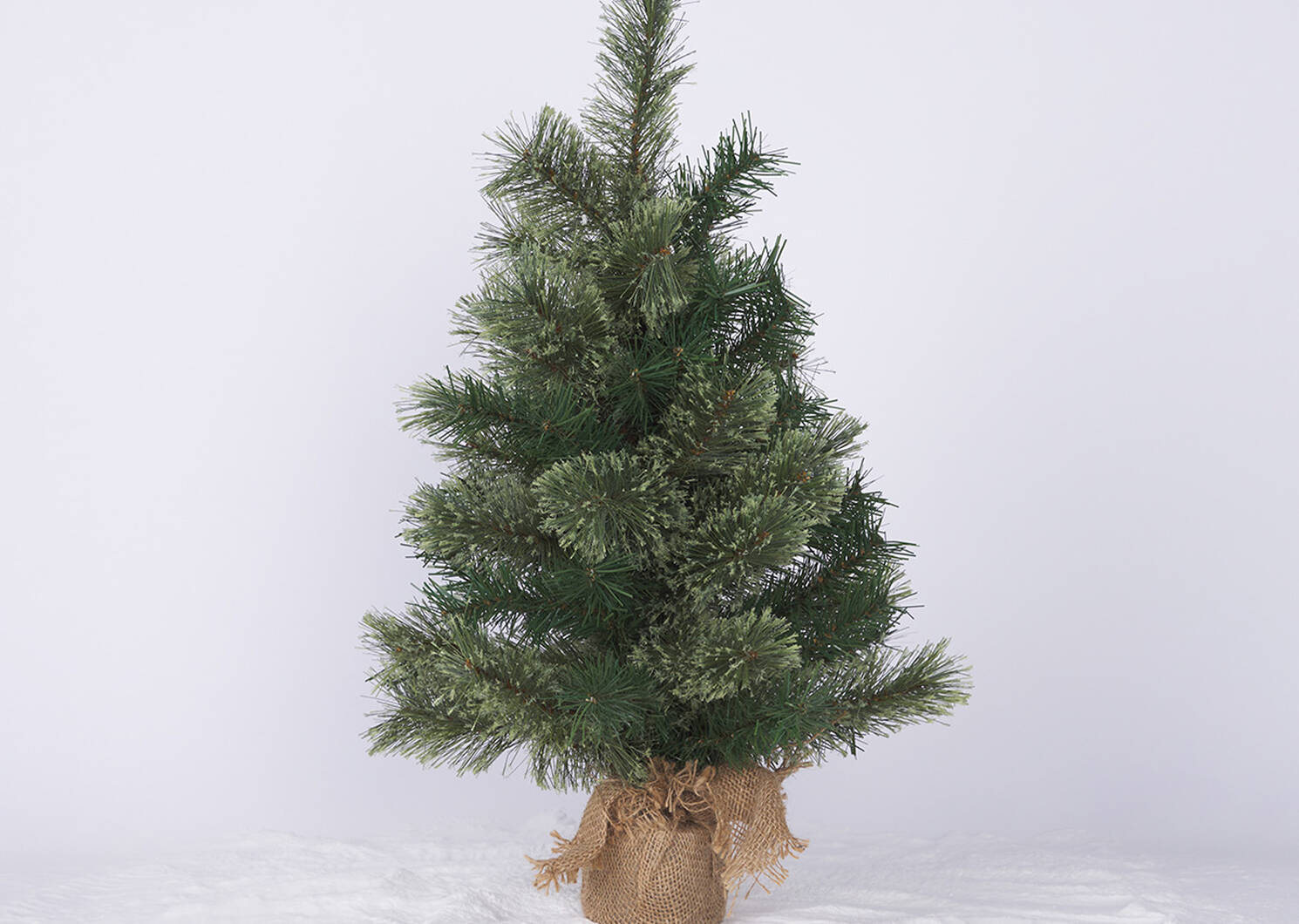 Tannon Tree 2ft Cashmere Potted