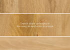 Gensei Coffee Table -Tasmen Natural
