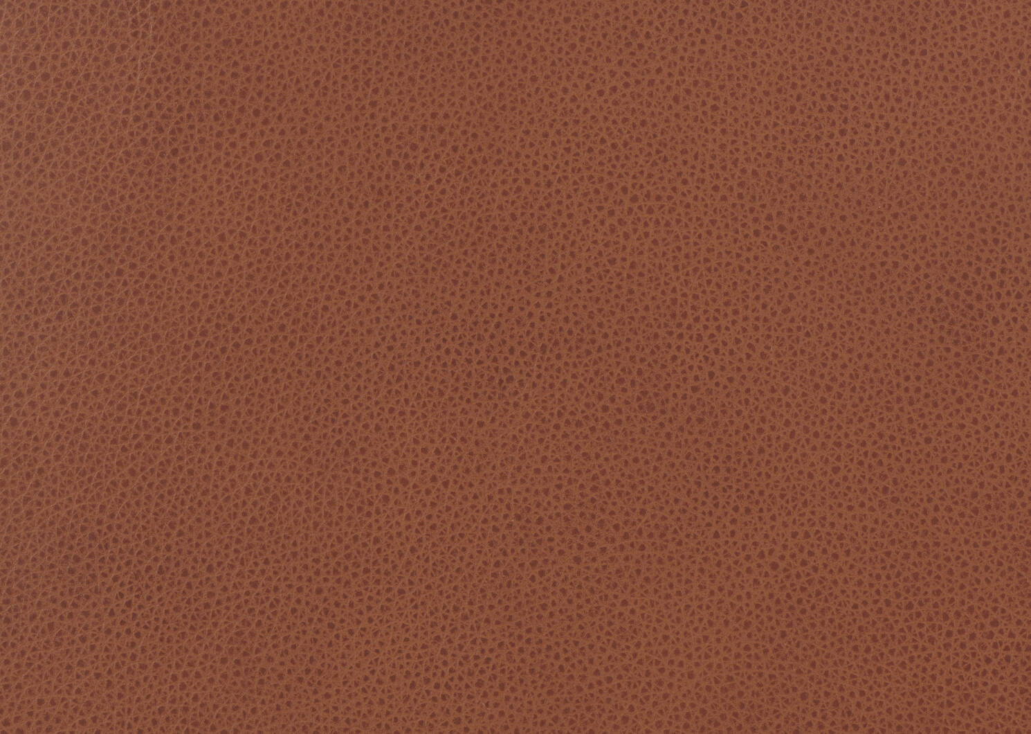 Simone Leather Swivel Chair -Ari Caramel