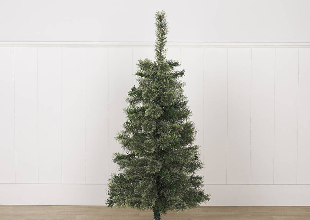 Sapin Tannon 4 pi cachemire