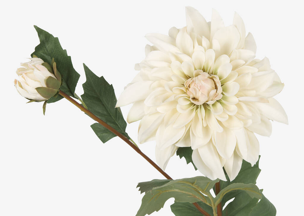 Branche de dahlias Meg ivoire