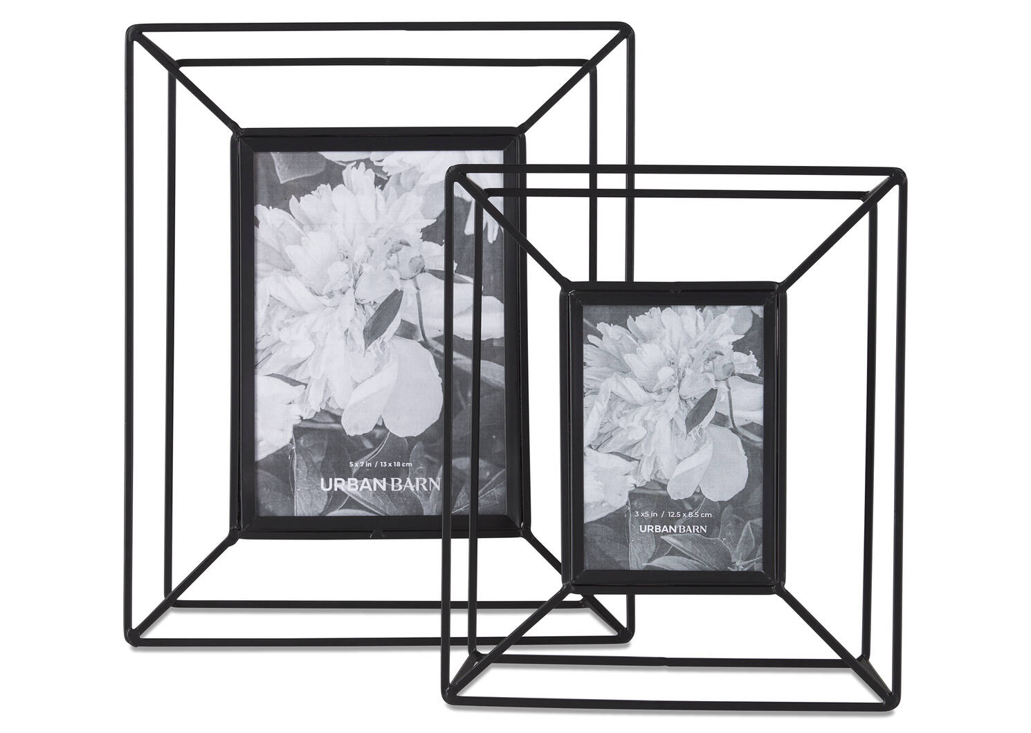 Cecilia Frame 3x5 Black