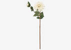 Branche de dahlias Meg ivoire