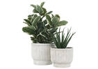 Lyne Planters