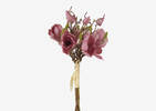 Bouquet de magnolias Louisa rose ballet