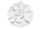 Petite déco murale Floressa blanche