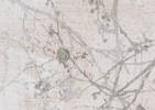 Toile Beginnings