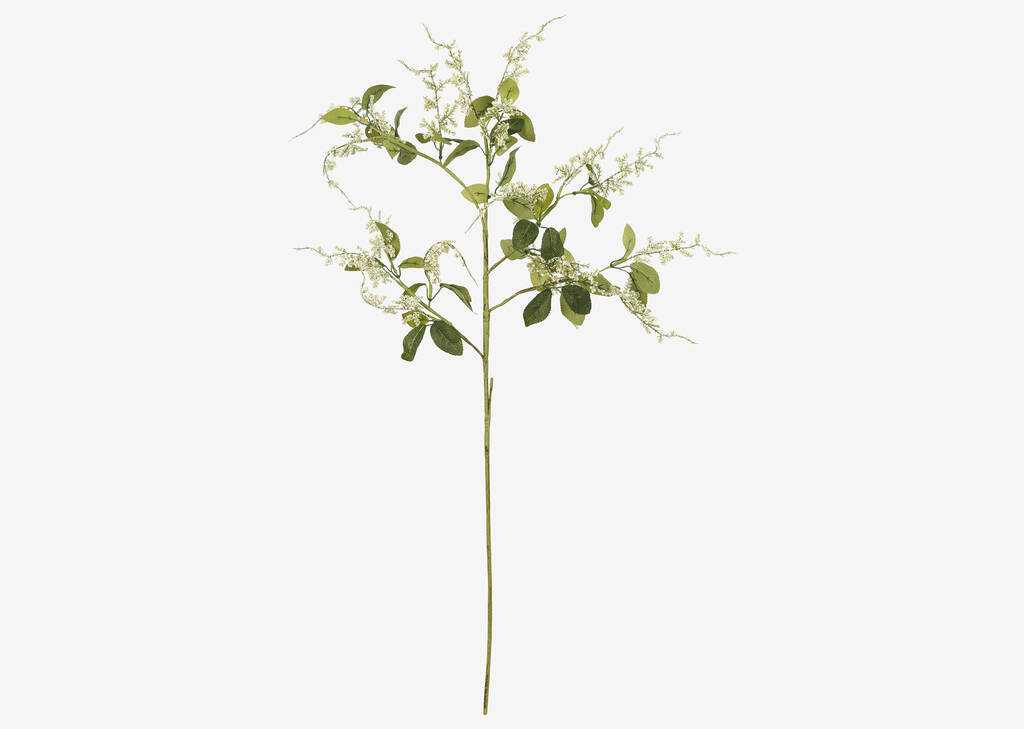Renou&eacute;e du Japon Kimi blanche