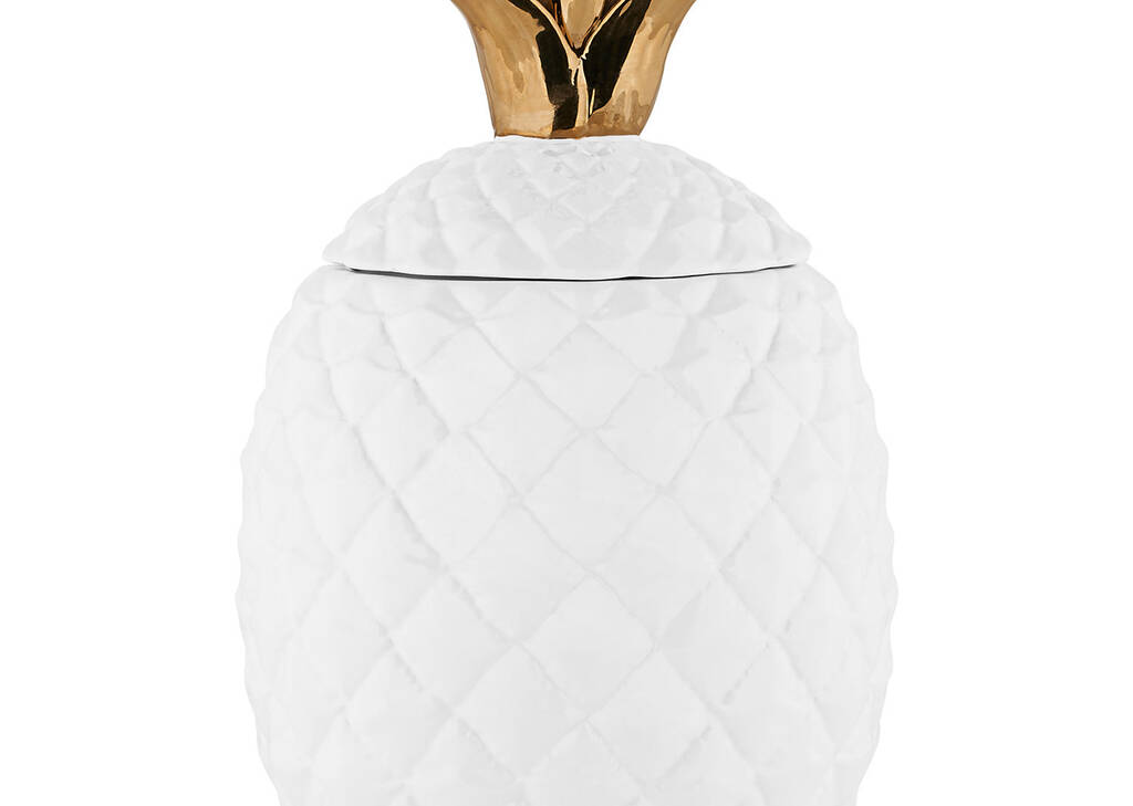 Lilo Pineapple Canister