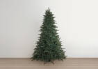 Garibaldi Tree 8' Pre-lit Green