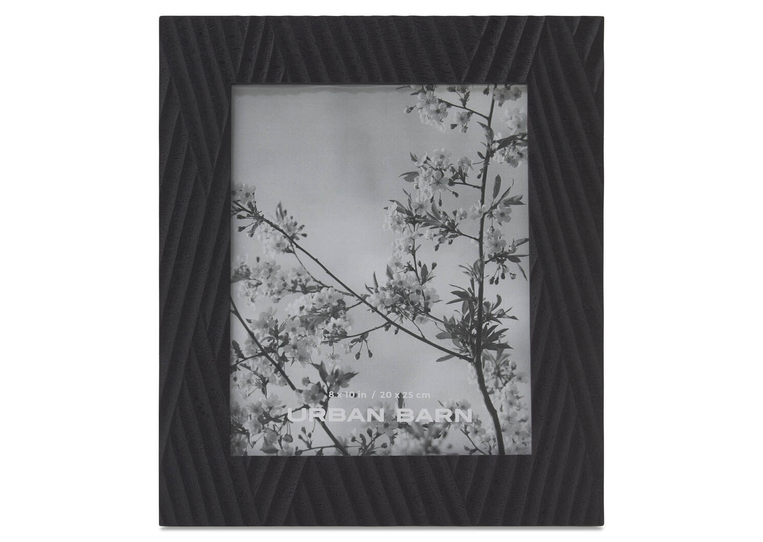 Aurelia Frames -Black