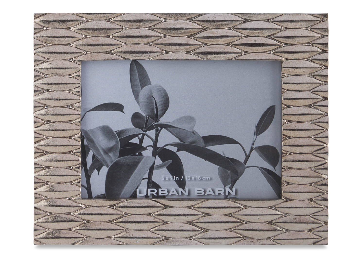 Clementine Frames -Silver