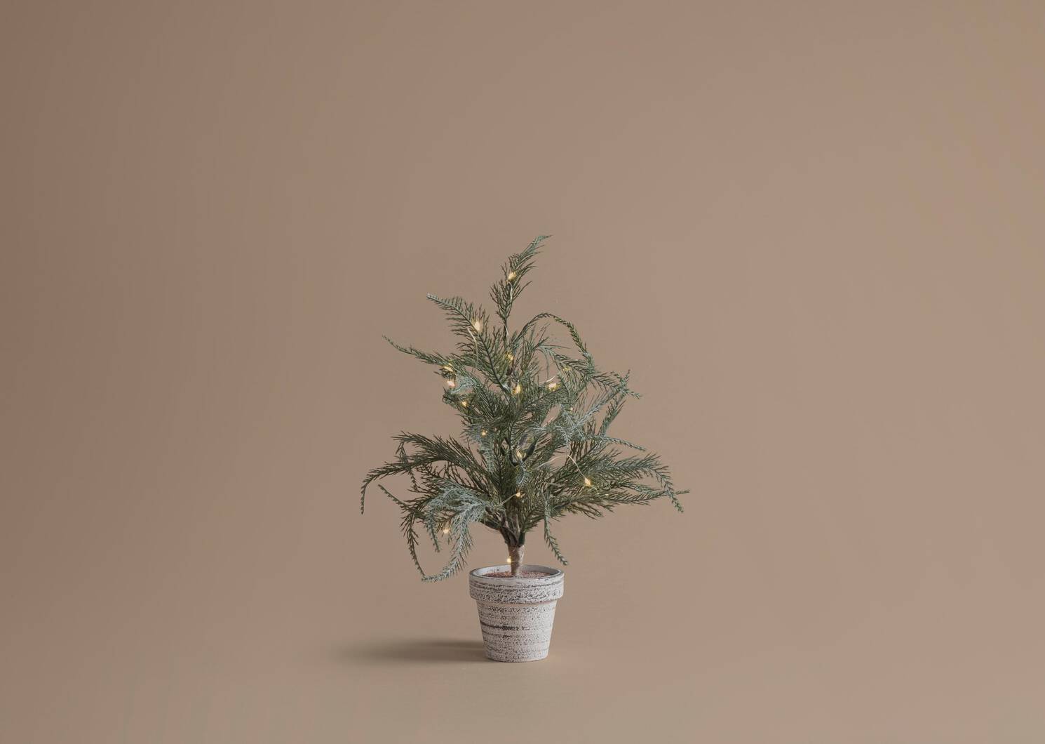 Wonderland Tree Small