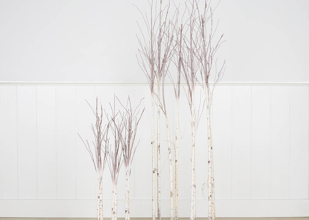 Illume Birch Branches