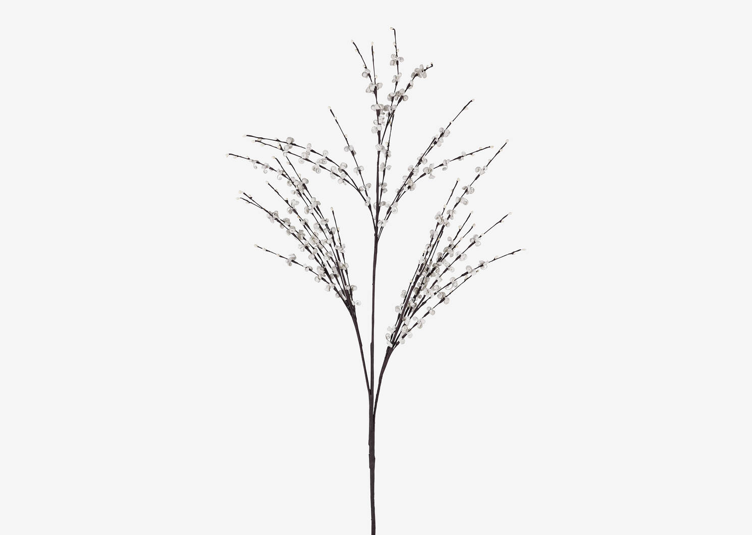 Naida Curly Willow Stem White