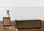 Vivien Coffee Table -Mirror