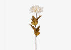Tige de chrysanthème Albie blanc