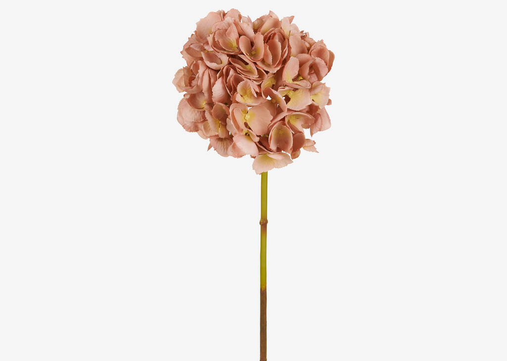Lydia Hydrangea Stem Pink Dust