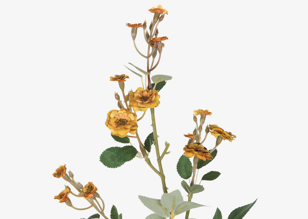 Matilda Rose Branch Yellow