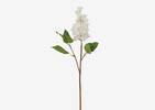 Lotte Dutch Lilac Stem Ivory