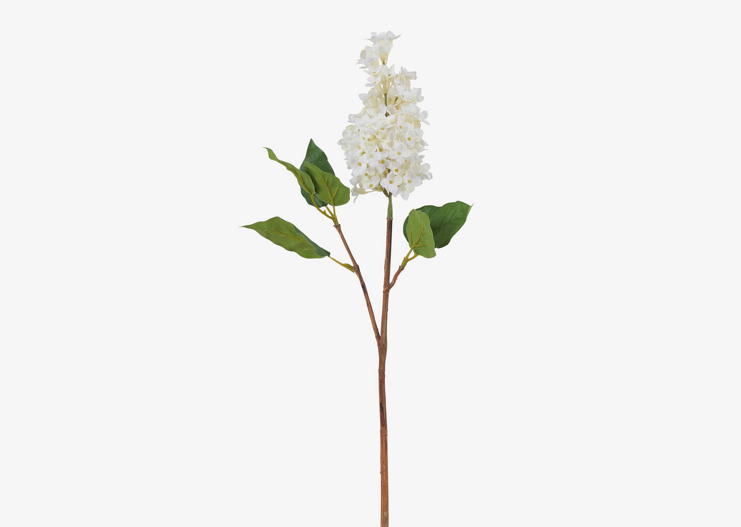 Lotte Dutch Lilac Stem Ivory